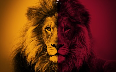 华体会电竞热评-一个时代的结束